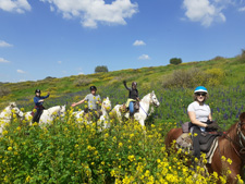 Israel-Galilee-Kaleidoscope Ride across Israel